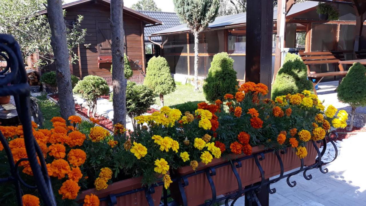 Casa Alberta Ocna Şugatag Exterior foto